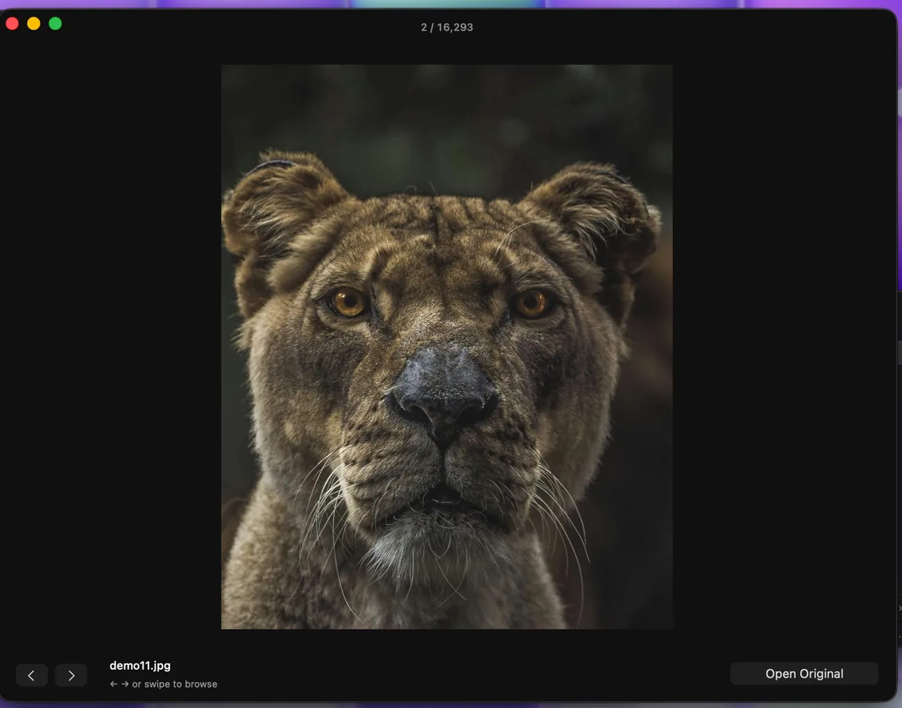 Full-screen photo preview of a phone picture